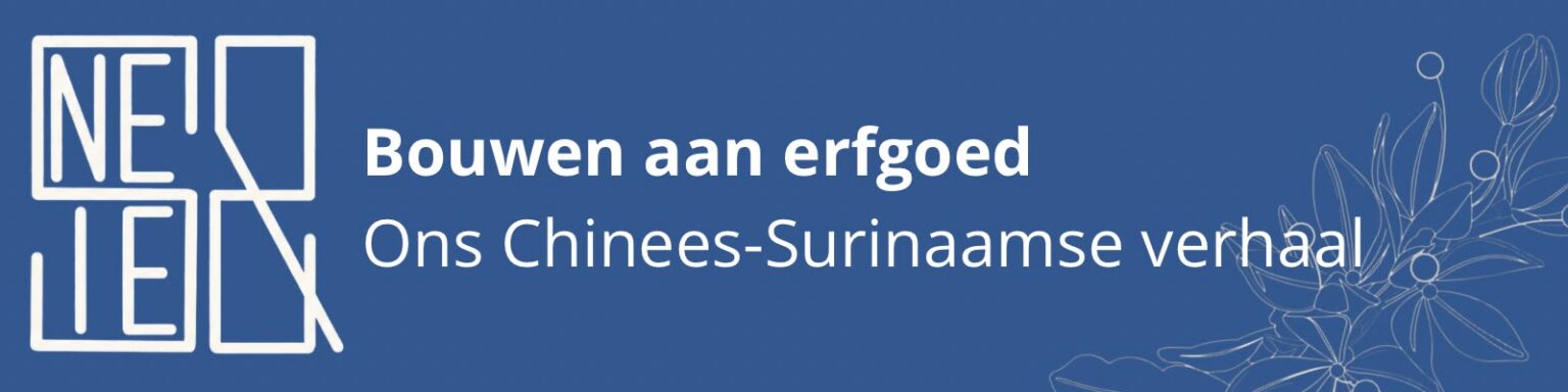 Stichting Perdu - Banner blauw