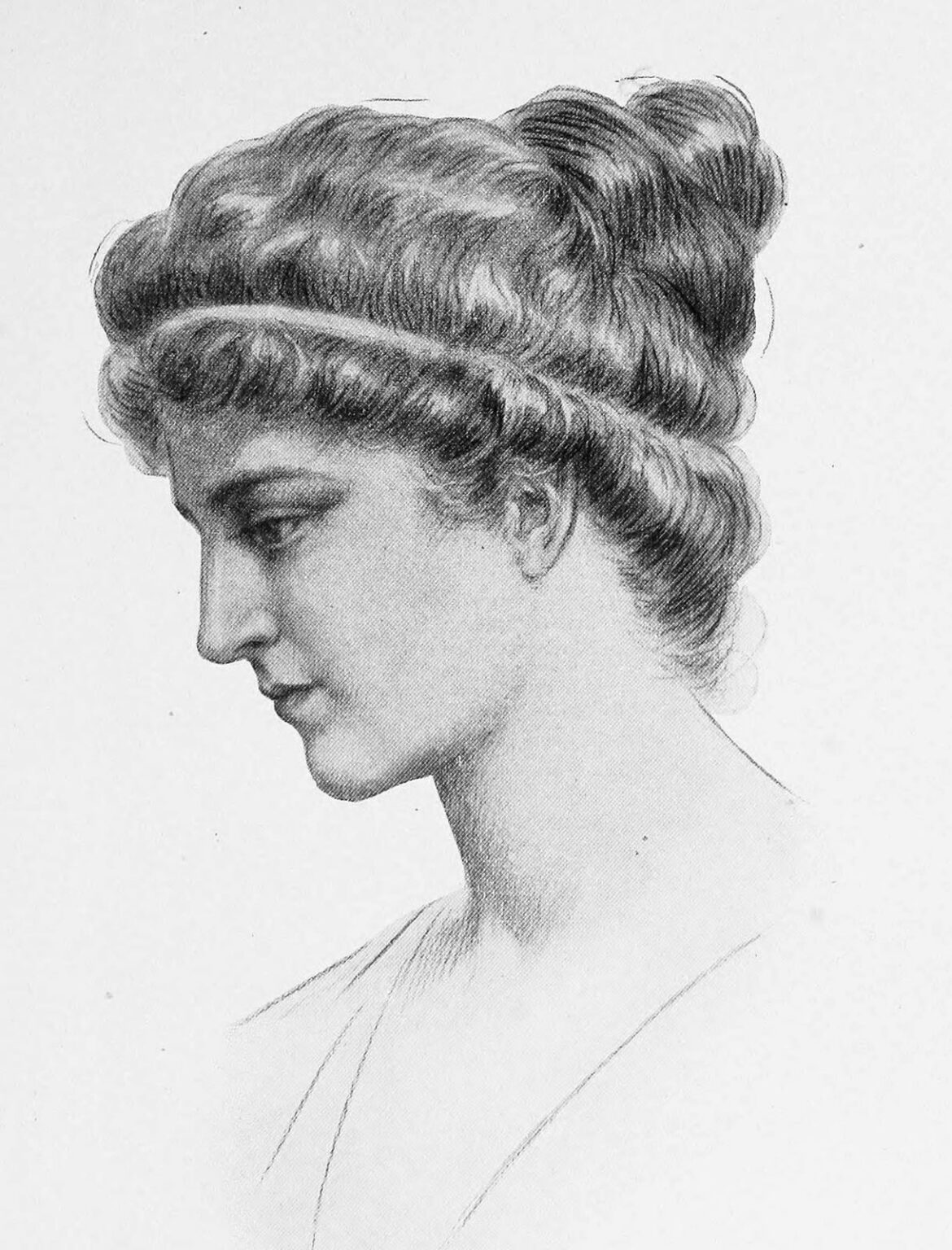 Stichting Perdu - Hipatia67